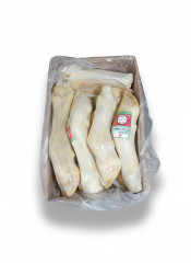 MOCOTO BOV.INT.CONG.MAFRINORTE CX+-22KG