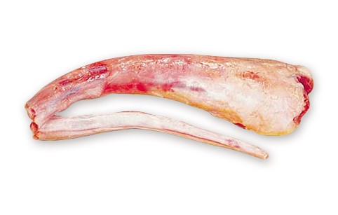 RABADA BOV.CONG FRIGOL CX+-23KG