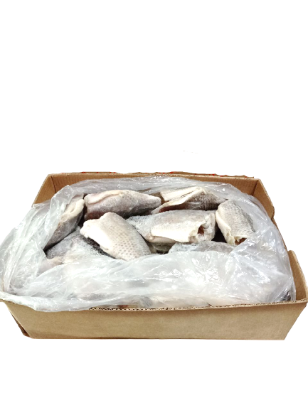 TILAPIA EVIS.CONG.500/1000 LUZITANI CX15