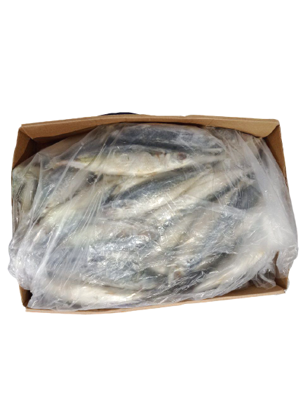 PEIXE CAVALINHA SOUSA INT 3/5 GRANEL15KG