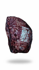 COXAO MOLE RESF.GOLD BEEF CX+-24KG