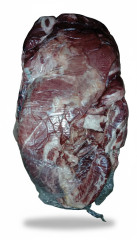 ACEM S/OSSO BOV.CONG.MAFRINORTE CX25KG