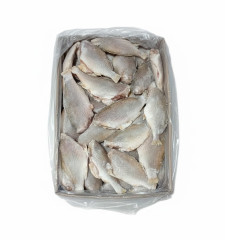 PEIXE CASTANHA ESVI2/3 GRANEL NATFI CX15