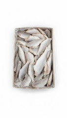 PEIXE PESCADA EVIS.3/5 NATFISH AGCX15