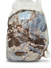 CARNE DE SOL(C.MOLE)PARAIBANA PC+-8KG