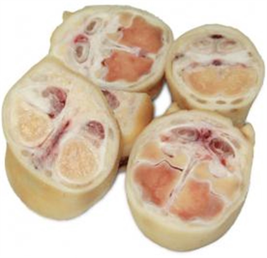 MOCOTO BOV.CONG.FRIGOL CX+-21KG