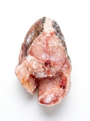 PEIXE DOURADA POSTA C/P FORTFISH CX20KG