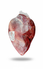 PALETA S/MUS S/OSSO CONG.BOI BRASILCX25K